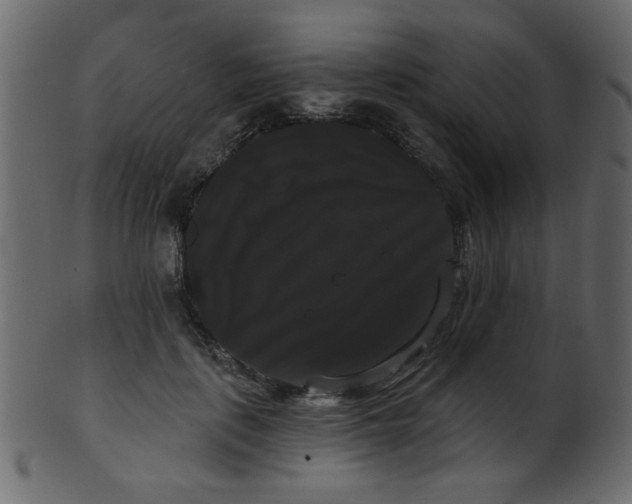 X0000101980651200807181126