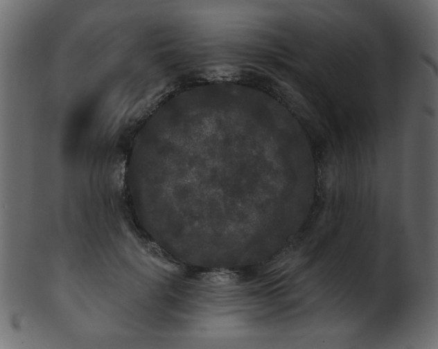 X0000101980652200807181126