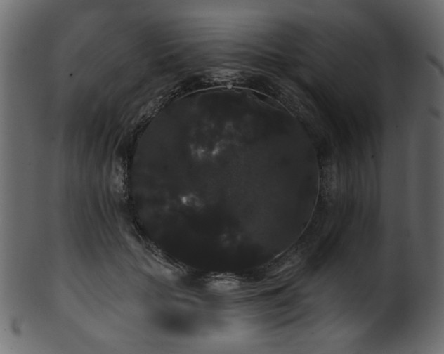 X0000101980653200807181126