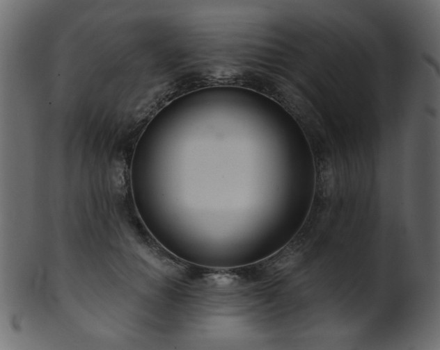 X0000101980654200807181126