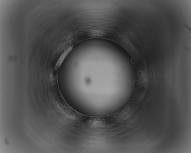 X0000101980655200807181126