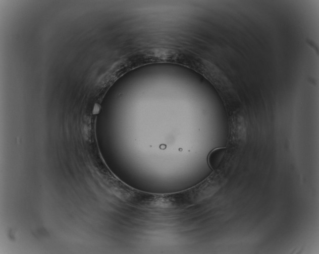 X0000101980656200807181126