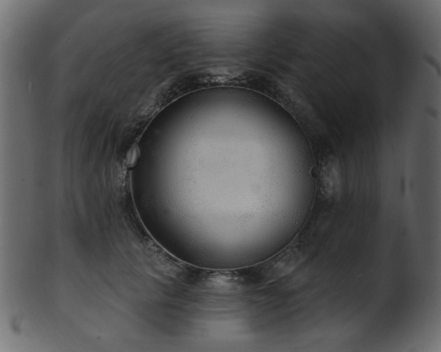 X0000101980657200807181126