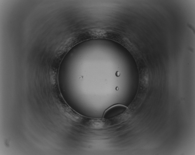 X0000101980658200807181126