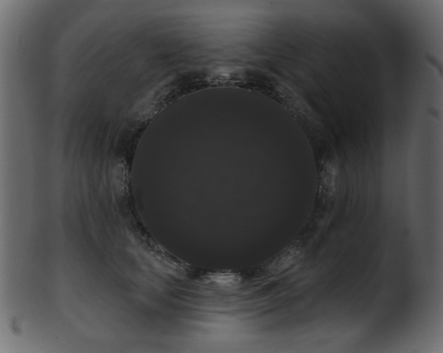 X0000101980659200807181126