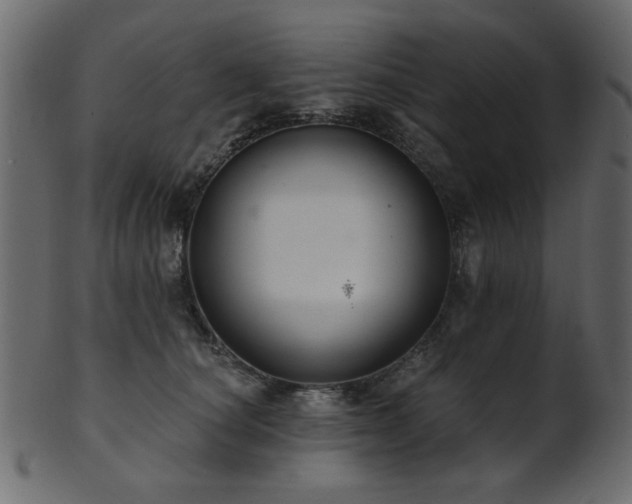 X0000101980660200807181126