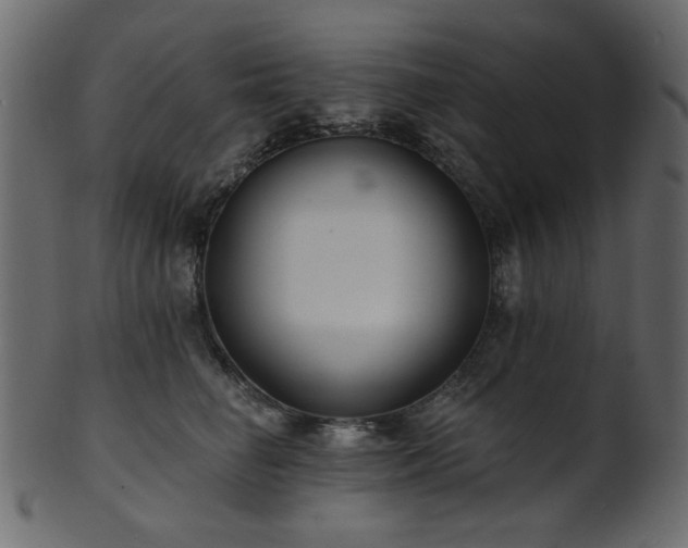 X0000101980662200807181126