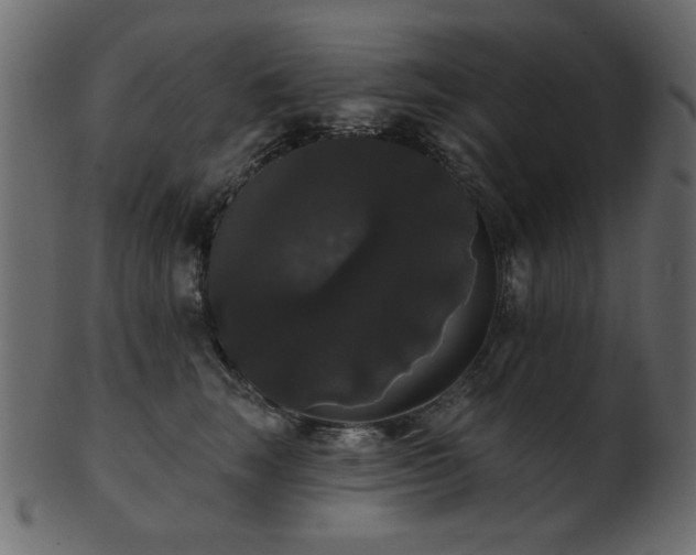 X0000101980663200807181126