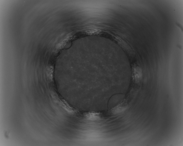 X0000101980664200807181126