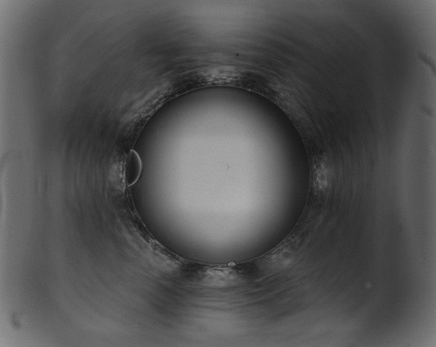 X0000101980666200807181126