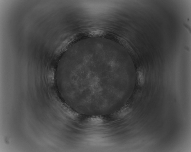 X0000101980668200807181126