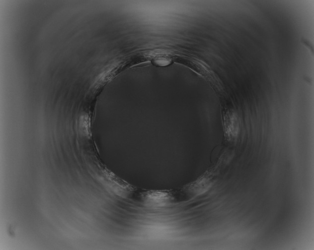 X0000101980669200807181126