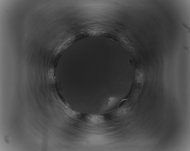 X0000101980670200807181126