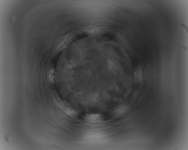 X0000101980671200807181126