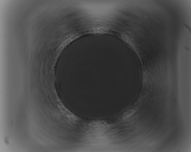 X0000101980673200807181125