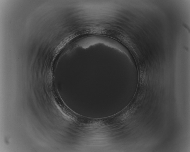 X0000101980674200807181125