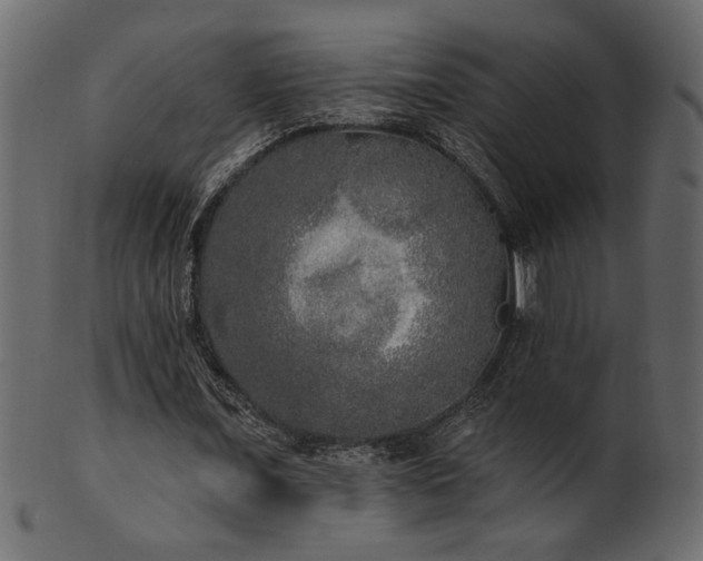 X0000101980675200807181125