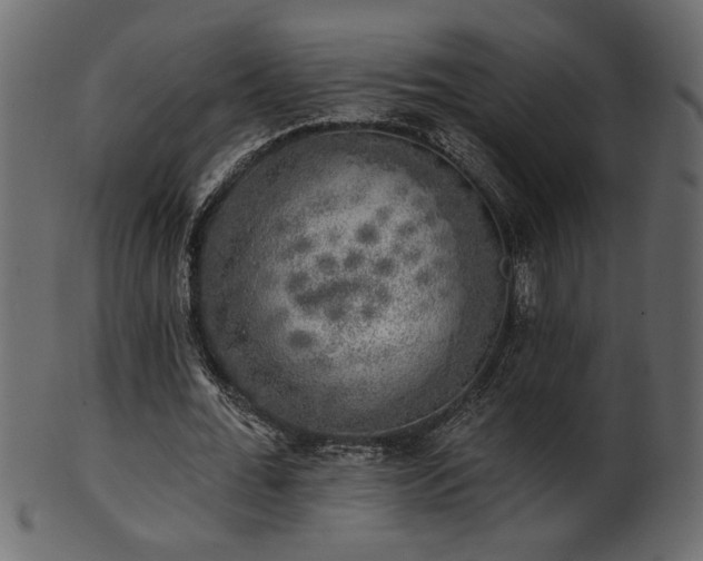 X0000101980676200807181125