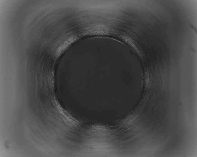 X0000101980677200807181125