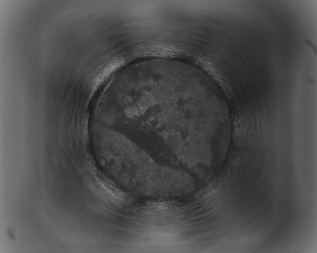 X0000101980679200807181125