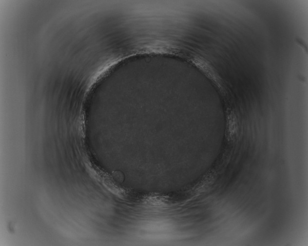 X0000101980680200807181125