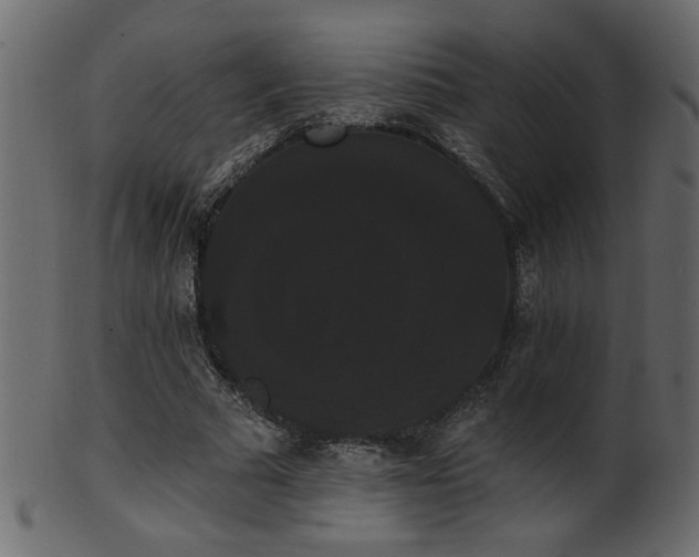 X0000101980681200807181125