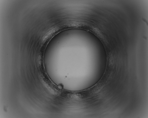 X0000101980683200807181125