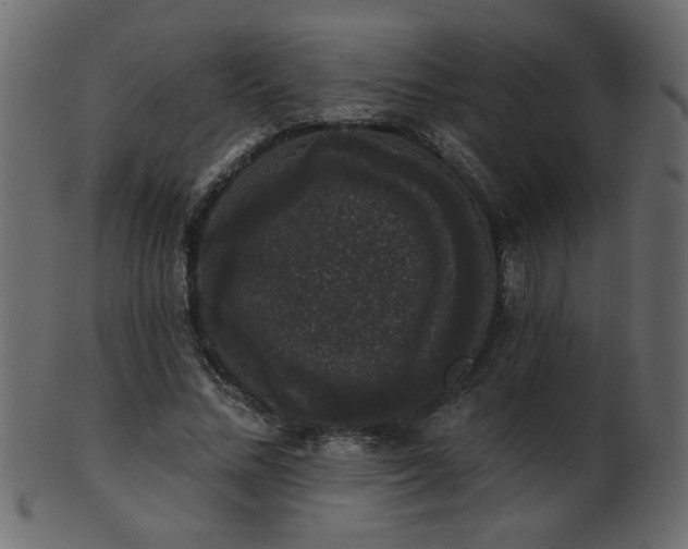 X0000101980684200807181125