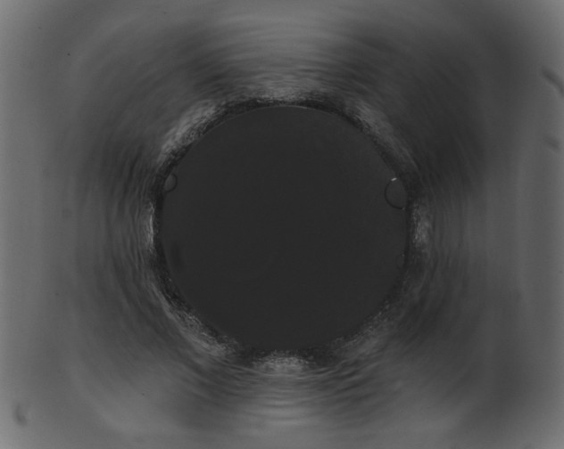 X0000101980685200807181125