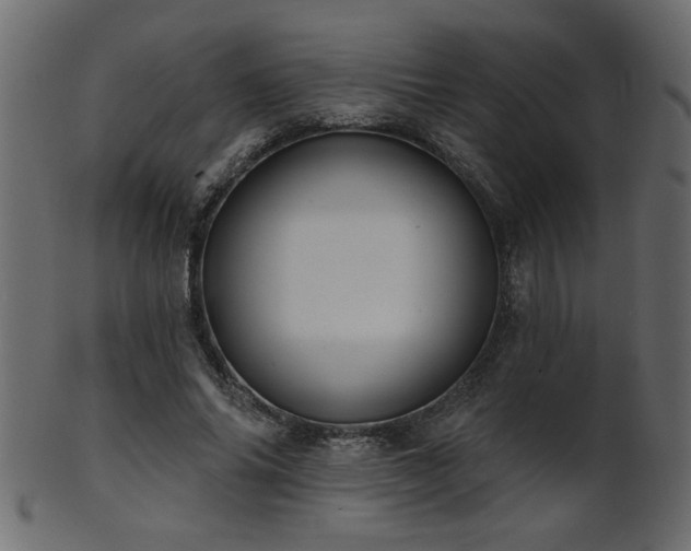 X0000101980686200807181125