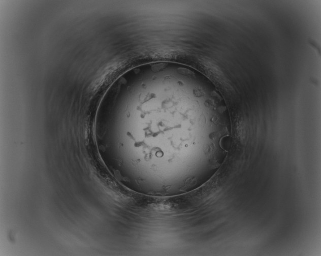 X0000101980687200807181125