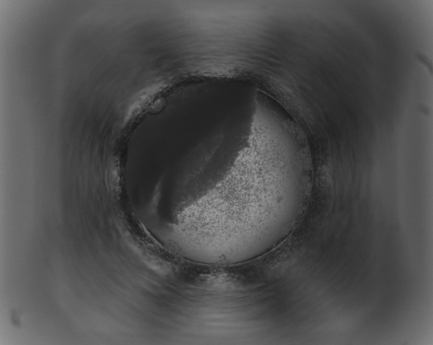 X0000101980688200807181125