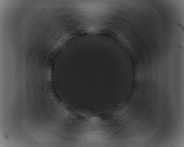 X0000101980689200807181125