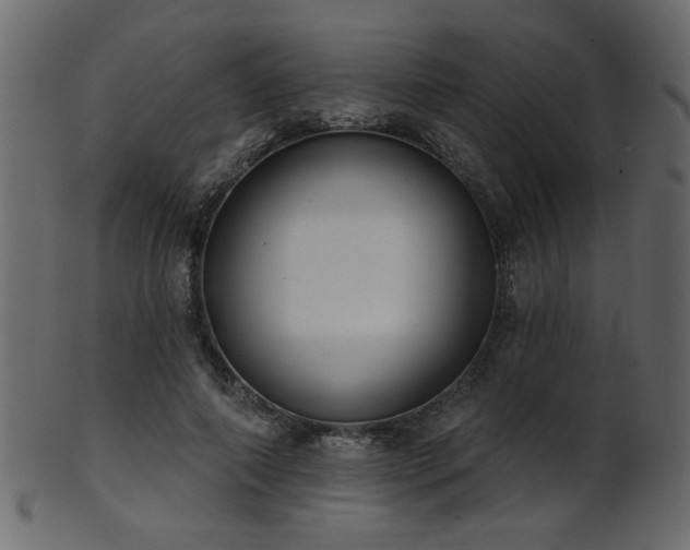 X0000101980690200807181125