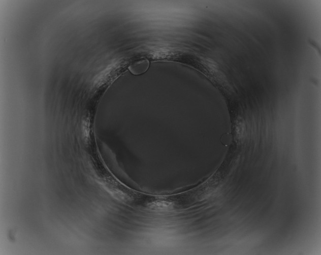 X0000101980691200807181125