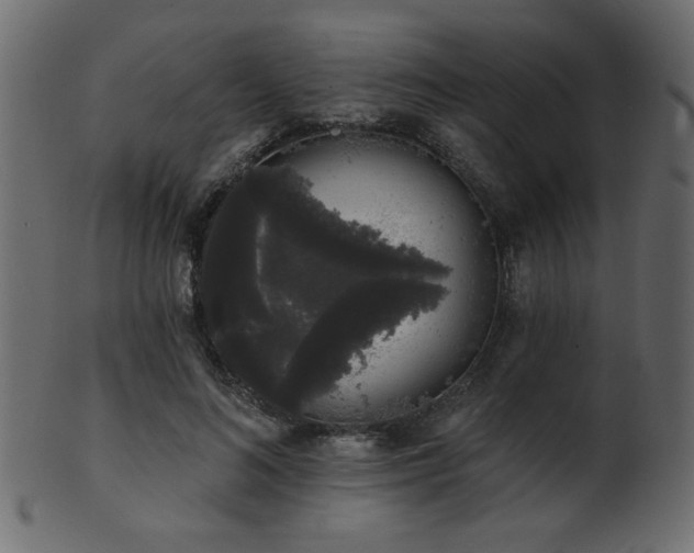 X0000101980692200807181125