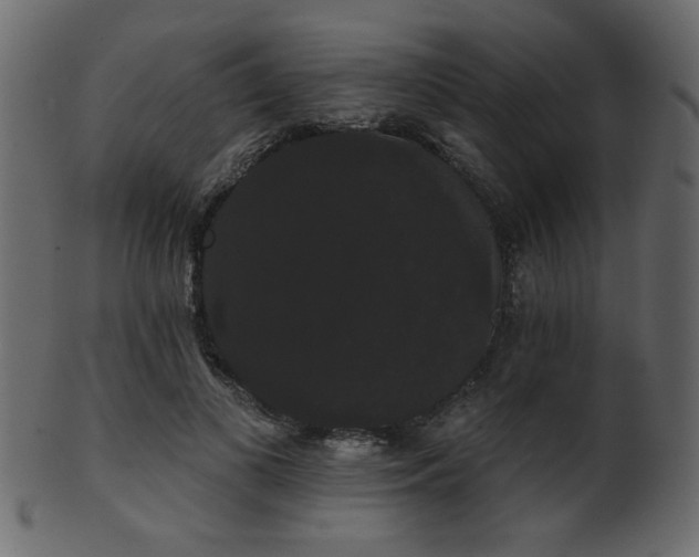 X0000101980693200807181125