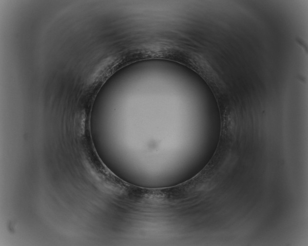 X0000101980694200807181125