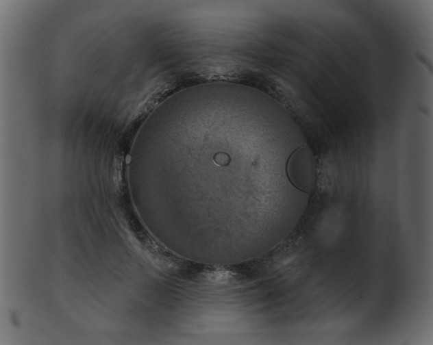 X0000101980695200807181125