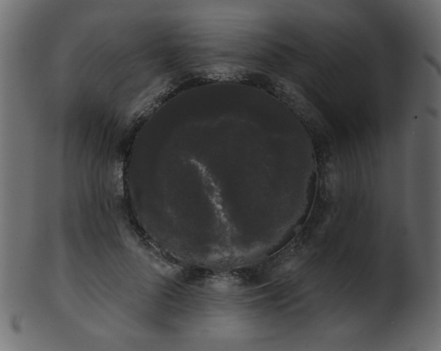 X0000101980696200807181125