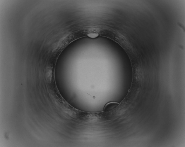 X0000101980697200807181125