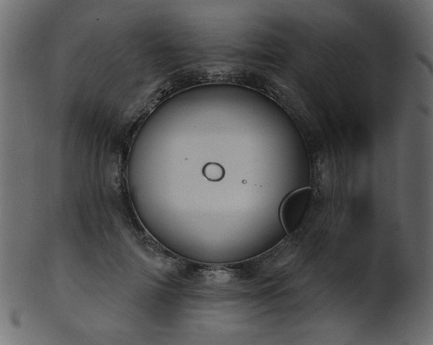 X0000101980698200807181125