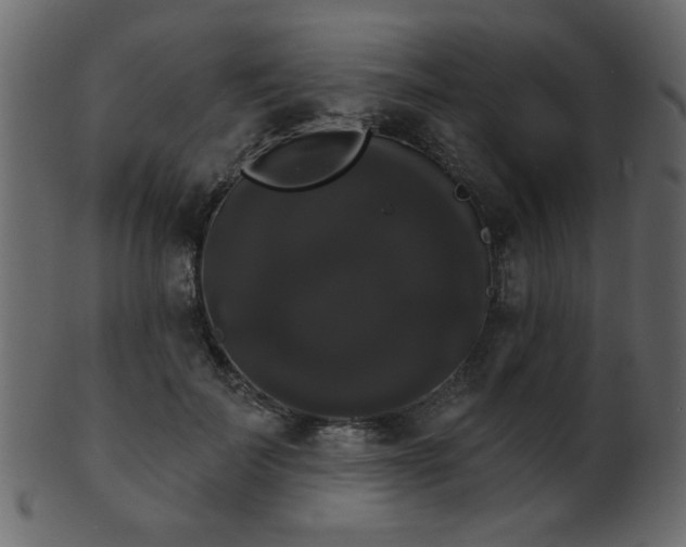 X0000101980699200807181125