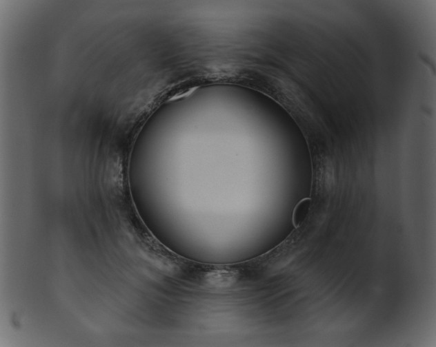 X0000101980700200807181125