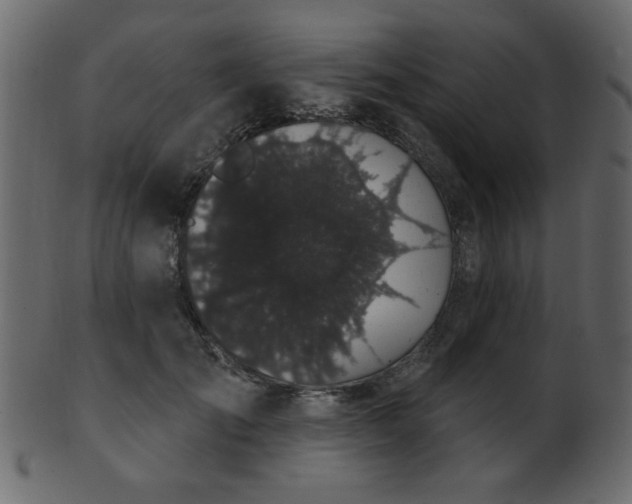 X0000101980701200807181125