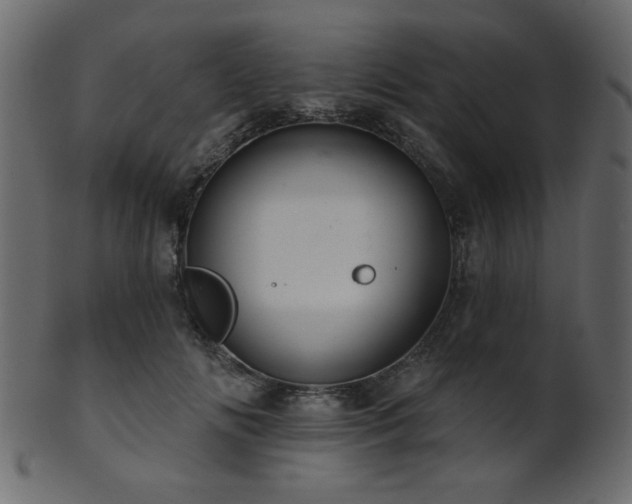 X0000101980702200807181125