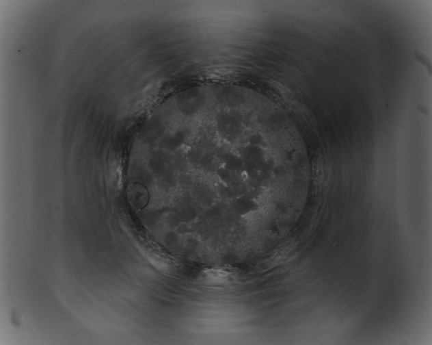 X0000101980703200807181125