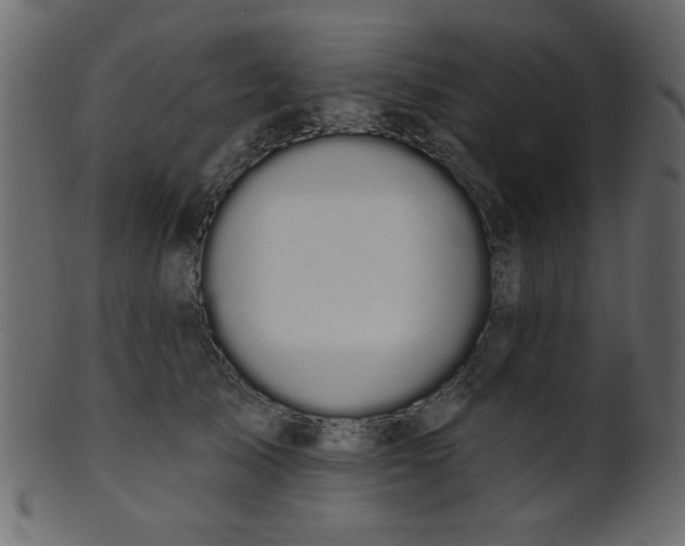 X0000101980705200807181125