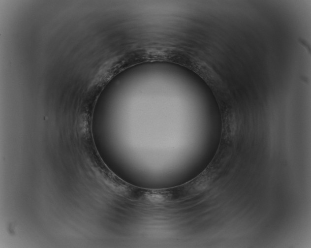 X0000101980706200807181125