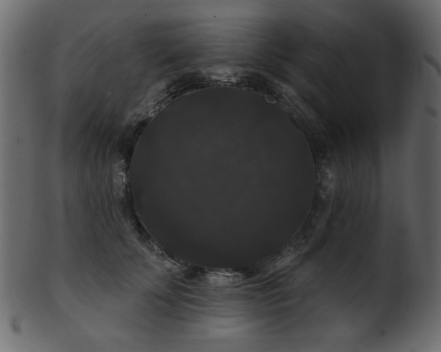 X0000101980707200807181125